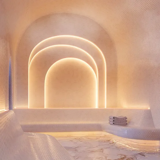 Фото #4 товара Светодиодная лента герметичная COB-PSW-X480-8mm 24V White6000 (6 W/m, IP67, TWP100, 5m) (Arlight, CRI>90)